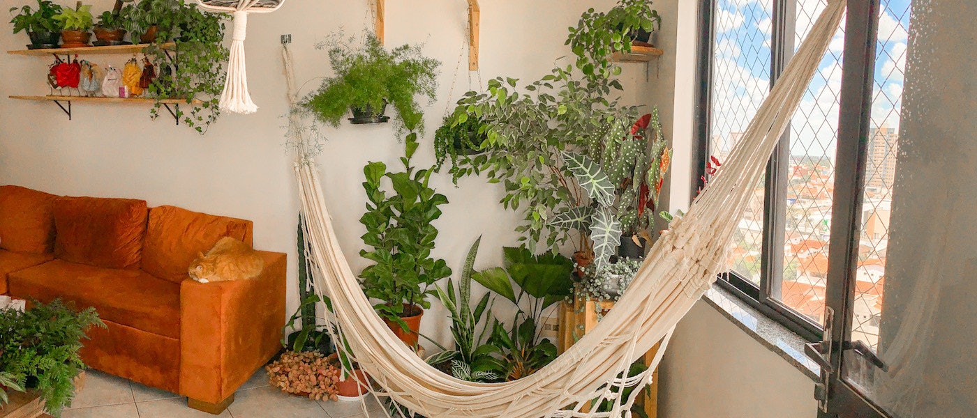 Urban Jungle: Veja 10 Itens para Cultivar Plantas em Apartamento