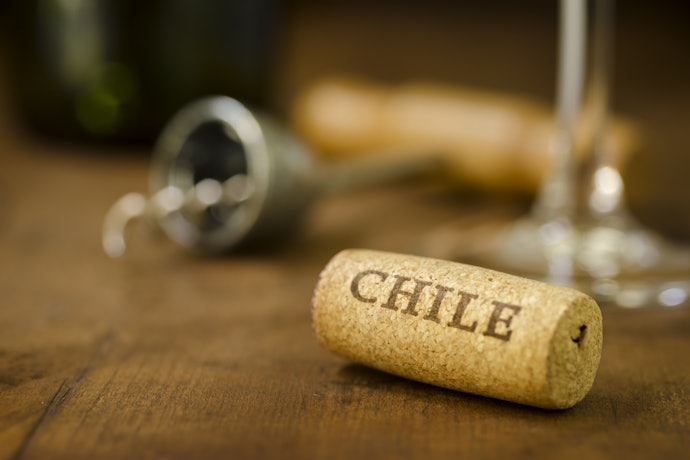 Vinho Suave Chileno: Possui Ótimo Custo-Benefício