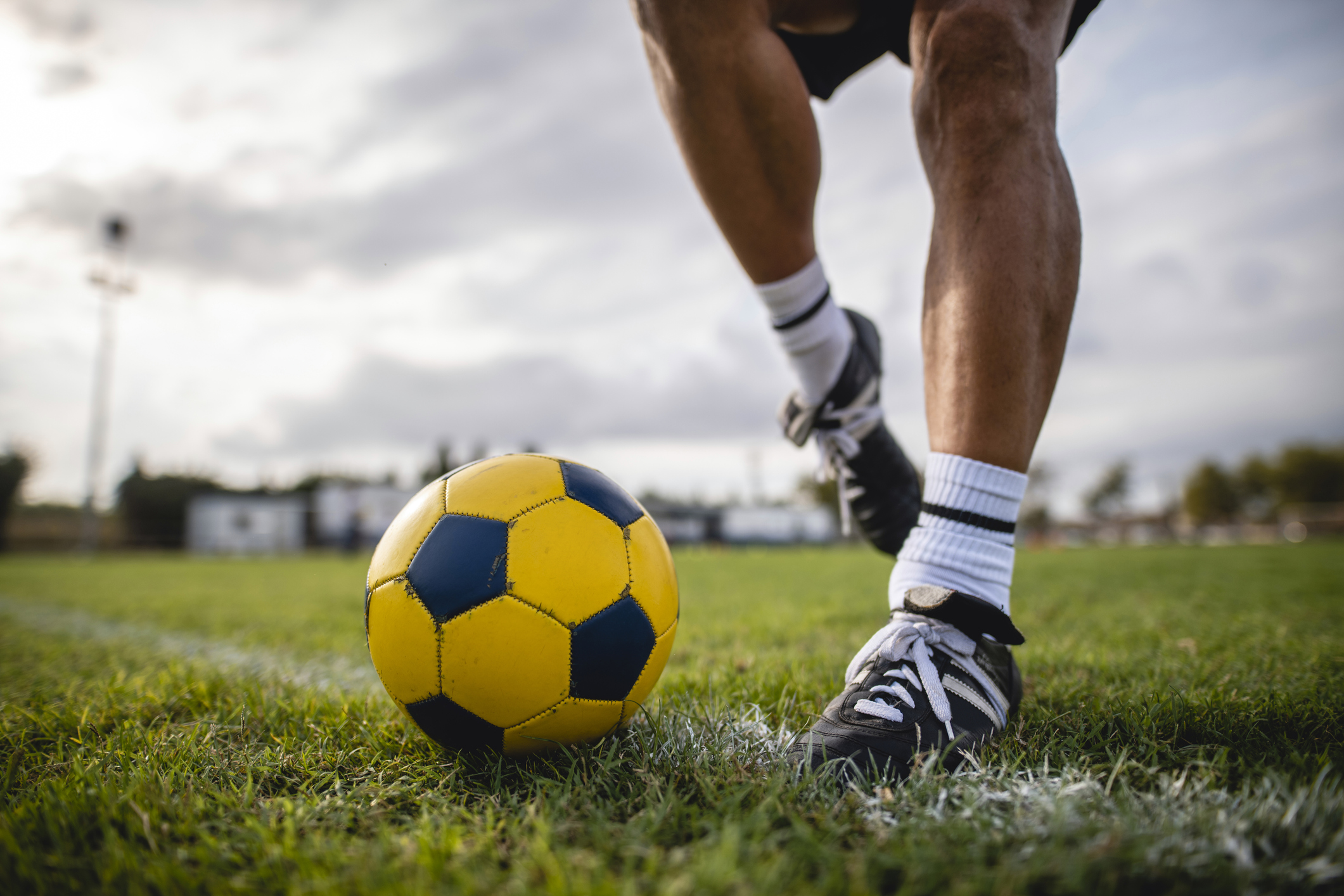 chuteira adidas predator campo 2022