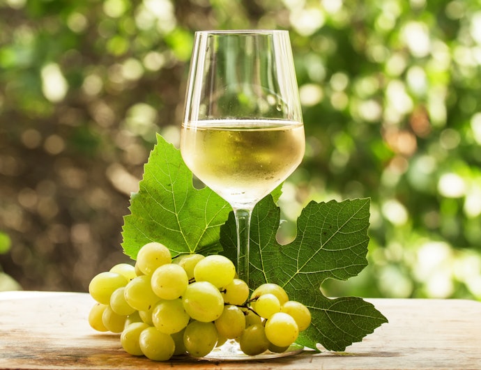 Vinho Branco Chileno: Chardonnay e Sauvignon Blanc São os Melhores