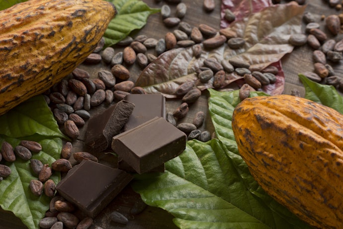 Considere o Chocolate Orgânico Como Opção Mais Saudável