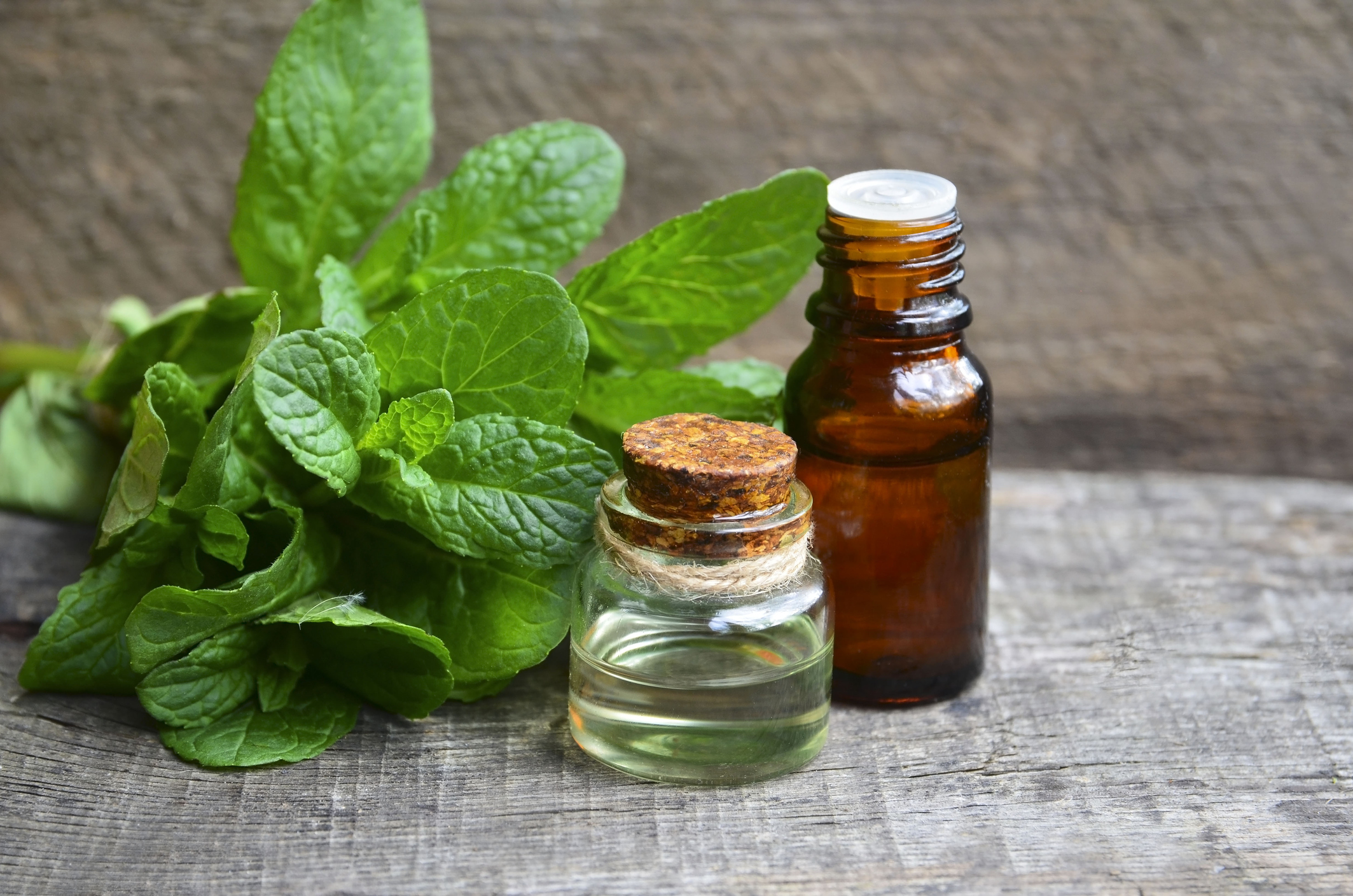 Top 10 Melhores Perfumes Natura Em 22 Essencial Homem Luna E Mais Mybest