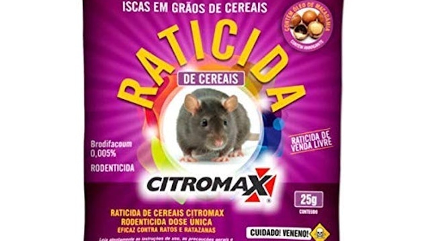Top 10 Melhores Venenos para Rato em 2022 (Bayer, Mortein e mais) | mybest